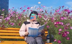 干露露苏紫紫全套